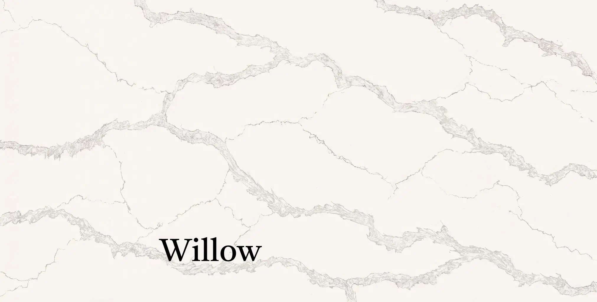 Willow