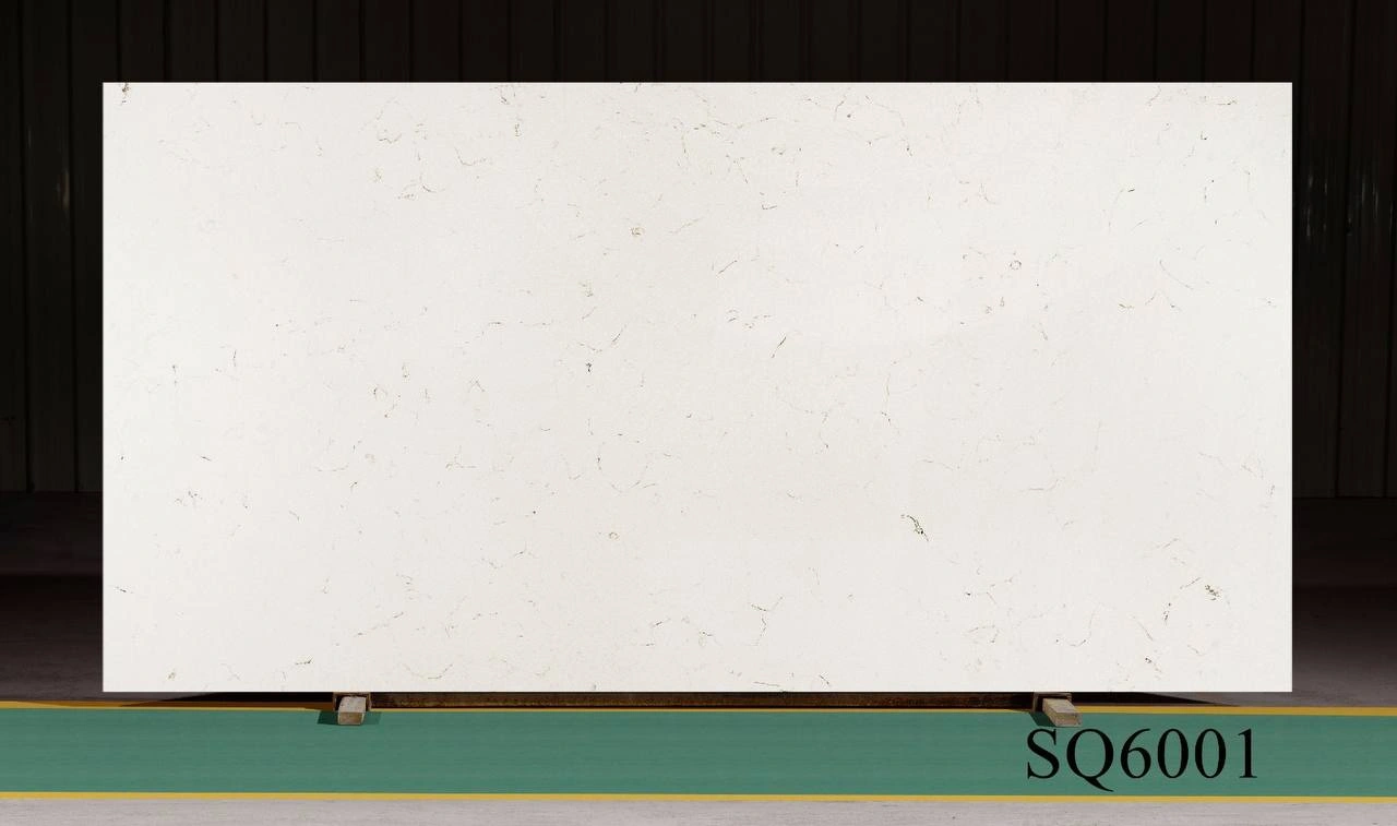 photo_2025-08-18_11-00-38